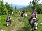 Niederhaslach et Oberhaslach-Equitaion Equitation à Oberhaslach et Niederhaslach